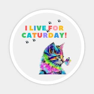 I live for Caturday Magnet